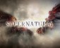 Supernatural Episode 9.12 – Press Release