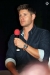 jensen47